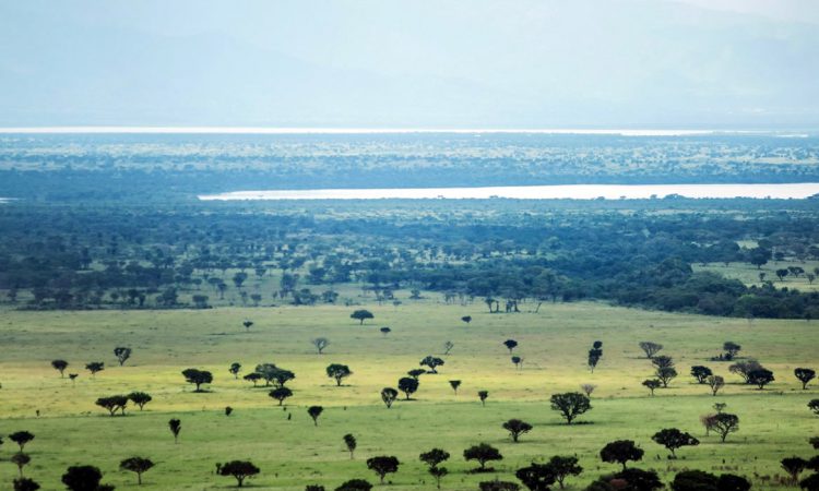 5 Days Uganda Flying Gorillas & Wildlife Safari